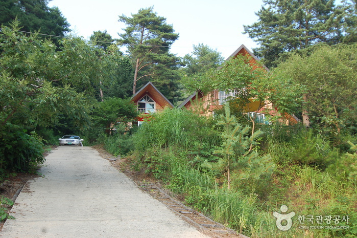 Forêt des loisirs sur la rive de Jucheongang (주천강자연휴양림)