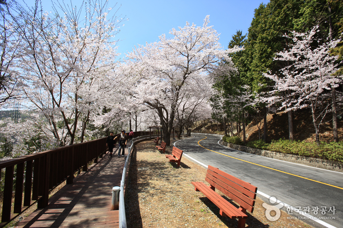 Colline Anmin (안민고개) Colline Anmin (안민고개)