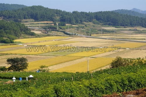 Île Nohwado (노화도) Île Nohwado (노화도)