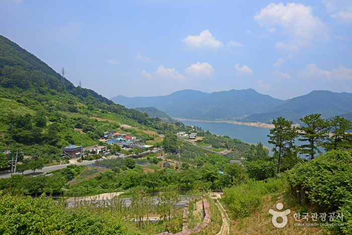 Forêt Gyemyeongsan (계명산자연휴양림)