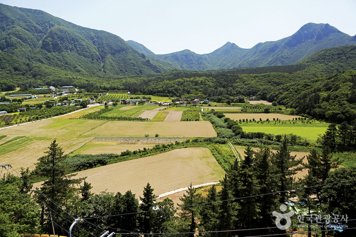 Bassin Nari (나리분지)