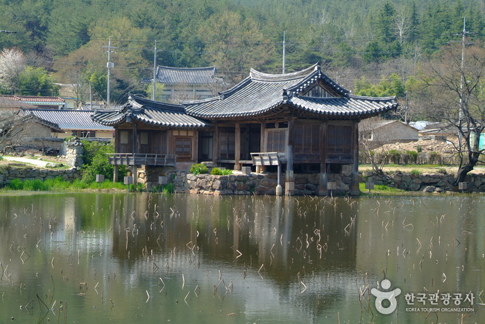 Etang de Seochulji à Gyeongju (fleurs de lotus) (경주 서출지) Etang de Seochulji à Gyeongju (fleurs de lotus) (경주 서출지)