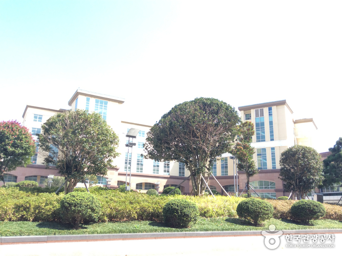 The Ocean Resort (디오션리조트) The Ocean Resort (디오션리조트)