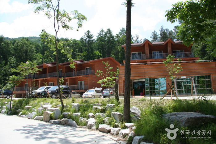 Forêt Yumyeongsan (유명산자연휴양림) Forêt Yumyeongsan (유명산자연휴양림)