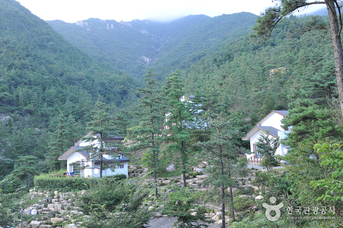 Forêt de Nakan (국립 낙안민속자연휴양림) Forêt de Nakan (국립 낙안민속자연휴양림)