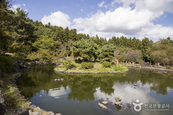 Forêt Jeju Jeolmul (제주절물자연휴양림) Forêt Jeju Jeolmul (제주절물자연휴양림)