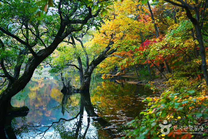 Etang Jusanji (주산지) Etang Jusanji (주산지)