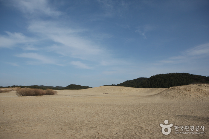 Dune de sable côtière de Sinduri (태안 신두리 해안사구) Dune de sable côtière de Sinduri (태안 신두리 해안사구)