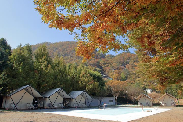 (주)쉐르빌리안티티