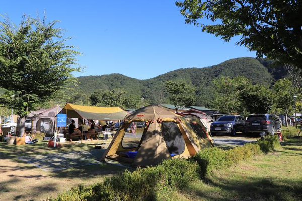 홍천강 오토캠핑장 