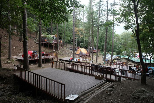 애견전용 햇살가득캠핑장