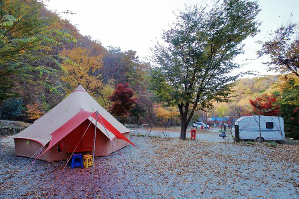 THATS CAMPING 횡성자연휴양림야영장