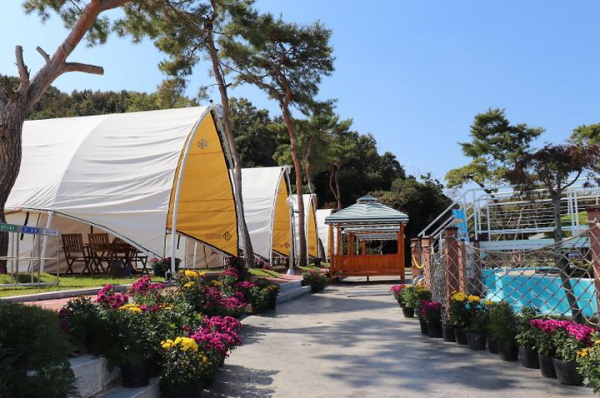 농업회사법인 다온숲 주식회사