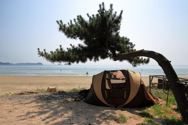 한마음오토캠핑장 