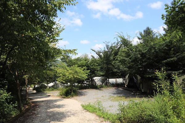 양평 키즈 글램핑