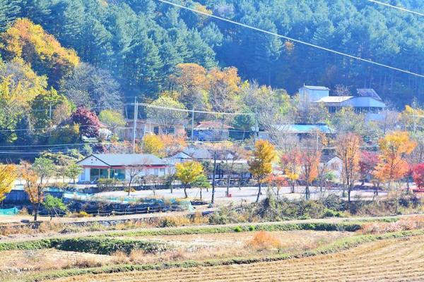 한송오토캠핑장