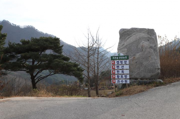 푸른솔 관광농원 야영장 