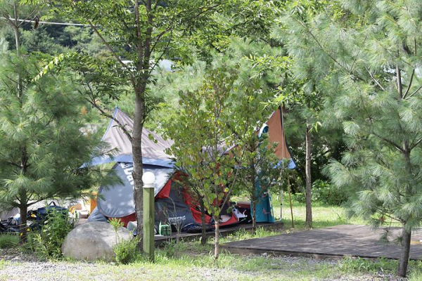 다희펜션캠핑장