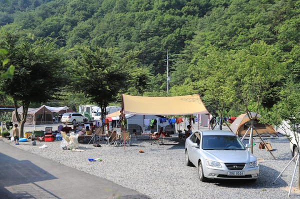 더좋은 펜션 캠핑장