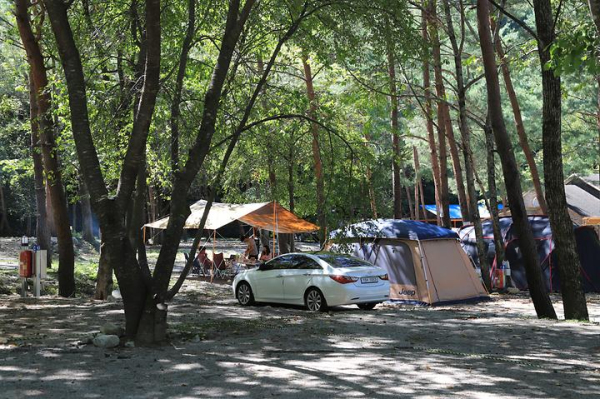 갈천 오토캠핑장 