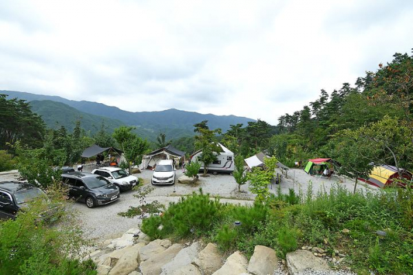 함양천자봉관광농원숲속애 