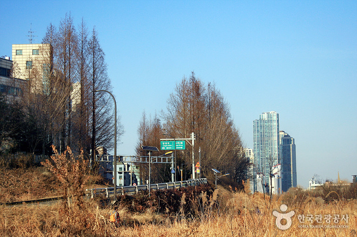 Ökopark Yangjaecheon (양재천 생태공원)