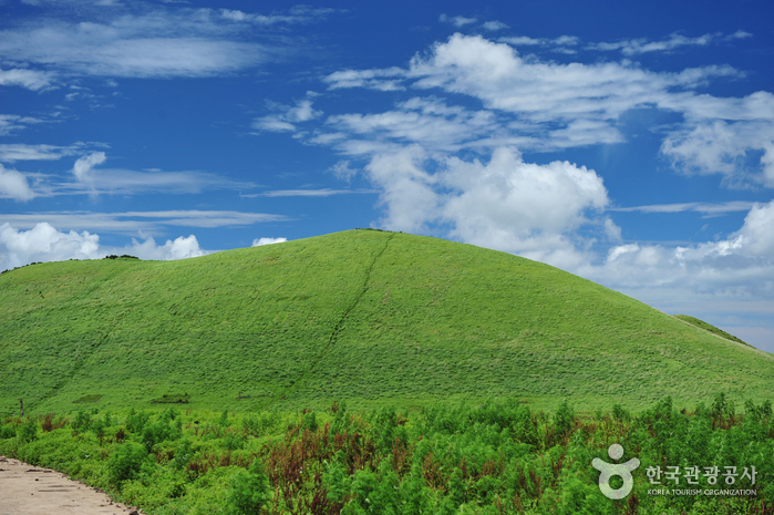 Berg Saebyeoloreum (새별오름) Berg Saebyeoloreum (새별오름)