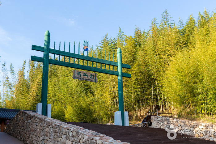 Bambuswald Juknokwon (죽녹원) Bambuswald Juknokwon (죽녹원)