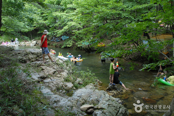Erholungwald Nami (남이자연휴양림) Erholungwald Nami (남이자연휴양림)