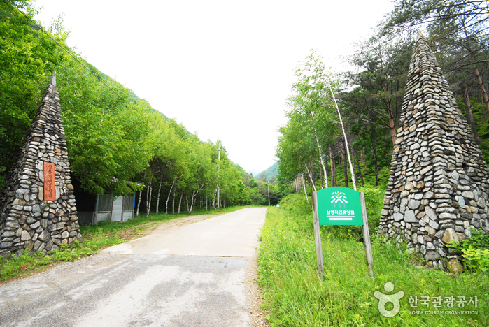 国立三峰自然休養林（국립 삼봉자연휴양림）