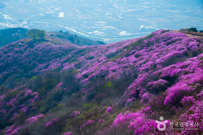 霊鷲山（麗水）（영취산（여수））
