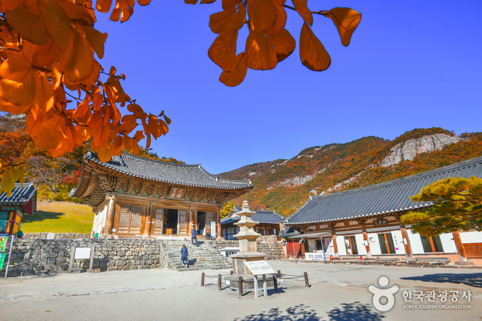 来蘇寺（扶安）（내소사（부안））