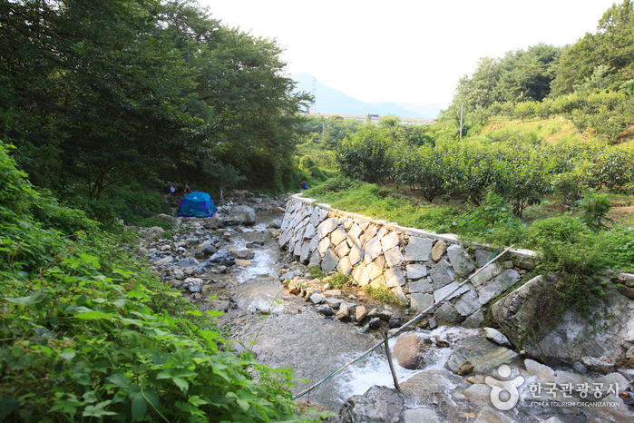 달천계곡(창원)