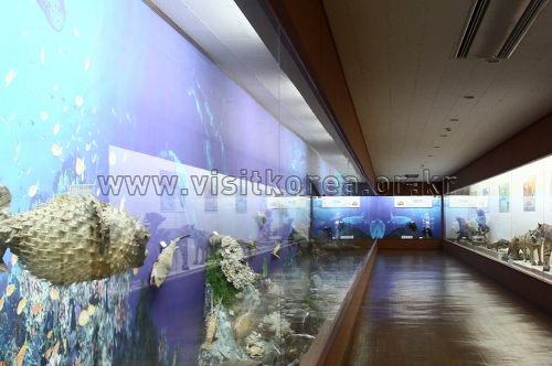 지당자연사박물관 지당자연사박물관