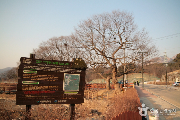[북한산 둘레길] 9 마실길