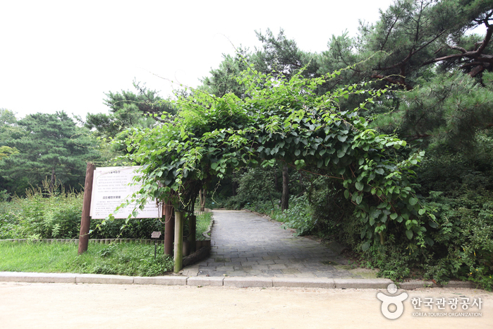 자생식물학습장
