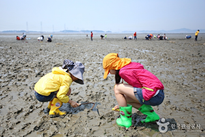 대부도 종현마을 대부도 종현마을