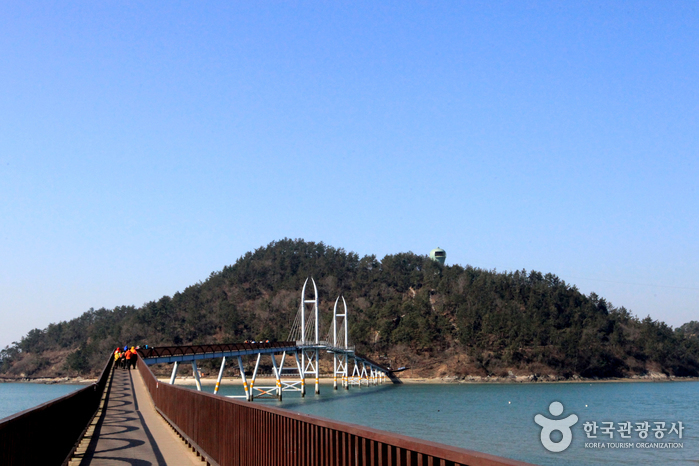 출렁다리 건너 섬으로 출렁다리 건너 섬으로