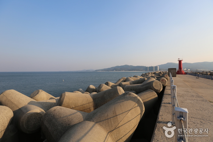 거진방파제 거진방파제