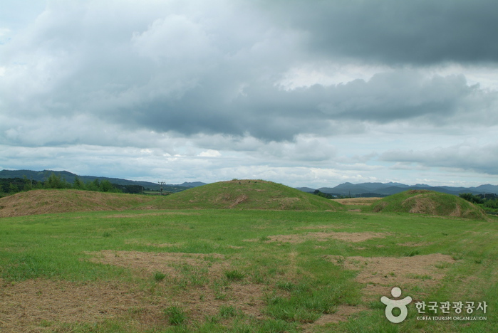 함평예덕리고분군 함평예덕리고분군