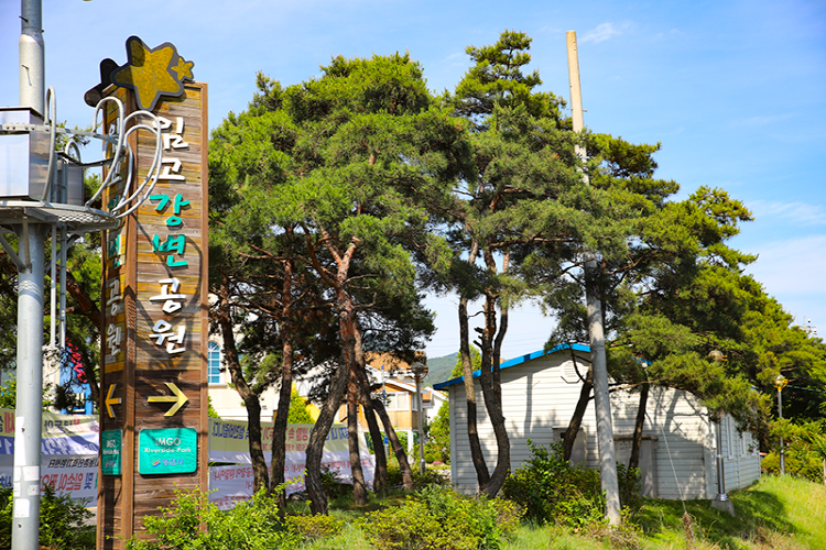 임고강변공원 임고강변공원