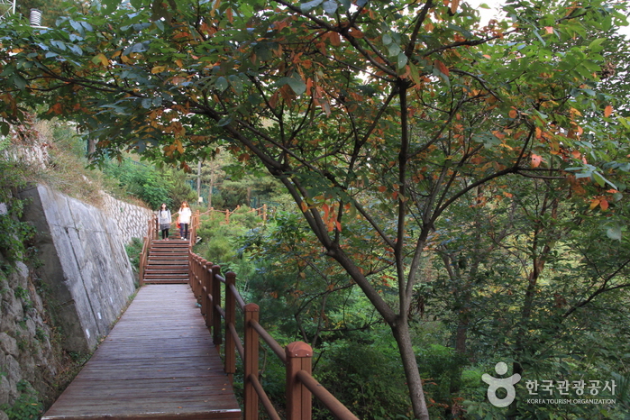 한양도성 안 궁궐과 학교이야기
