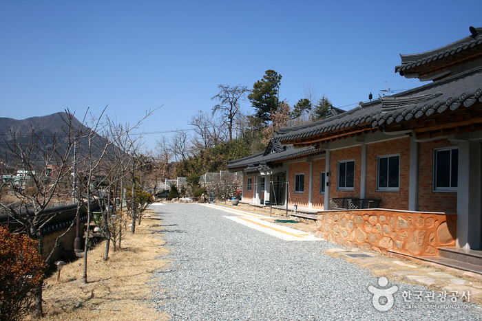 자연염색박물관