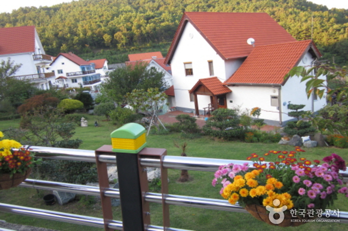 남해에서 잡아 올린 월척 행복여행 [웰촌]