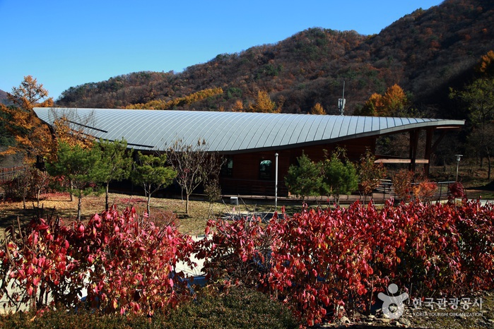 화천, 향기로운 ‘산약초 마을’ 힐링 여행