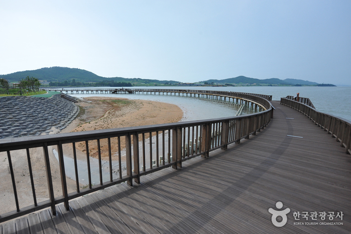 해안 따라 보물이 가득한 무안 낙지길을 걷자.