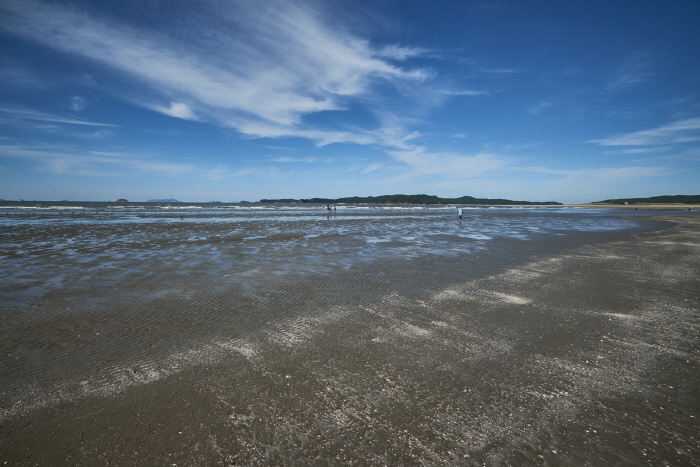 신두리해수욕장 신두리해수욕장