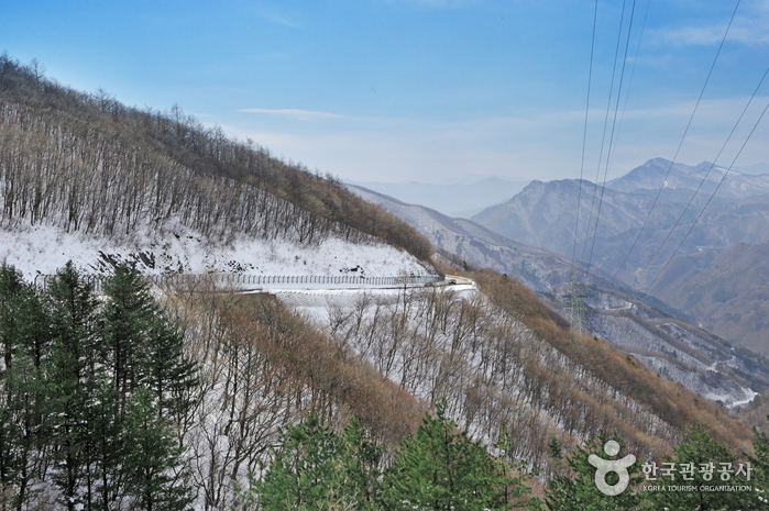 함백산 만항재 함백산 만항재