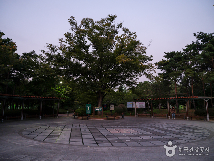 노들나루공원 노들나루공원