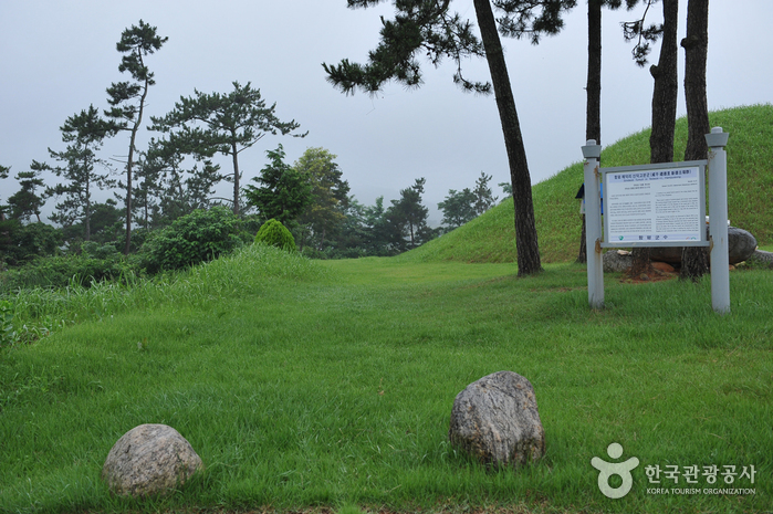 함평 예덕리 신덕 고분군